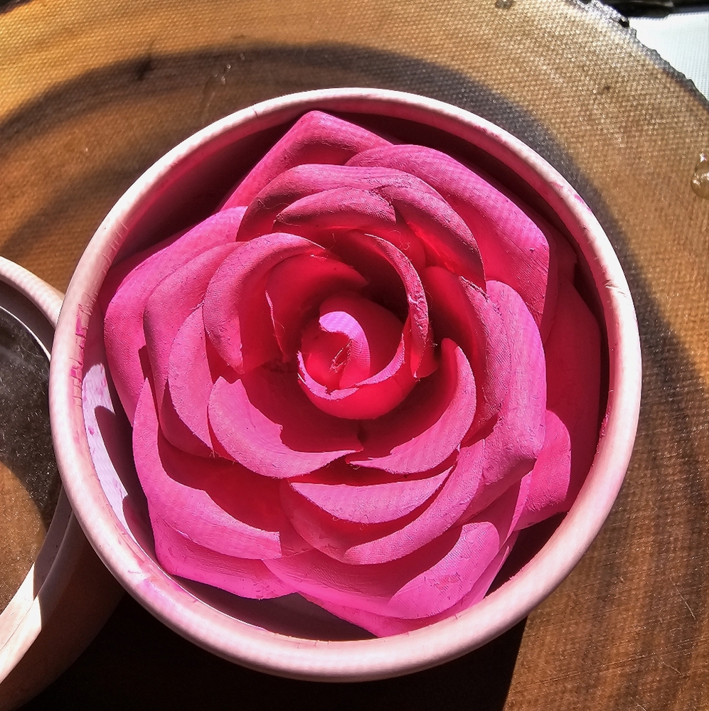 Rose Blush Rose Pink